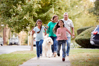 Small Shifts Family Walk